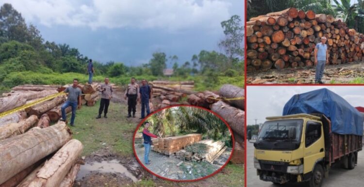 Polsek Kampar Kiri menemukan hamparan kayu hasil ilegal logging dan truk yang mengangkut kayu ilegal di Desa Sungai Sarik, Kampar, Senin (20/11/2023). (Foto : Dok/Polsek Kampar Kiri)