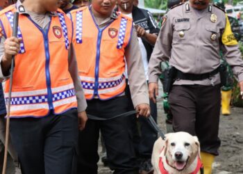 TURUNKAN K9: Polda Sumut turunkan K9 untuk mencari 12 warga yang hilang akibat bencana alam tanah longsor yang terjadi di Dusun III, Desa Simangulampe, Kecamatan Bakti Raja, Kabupaten Humbang Hasundutan (Humbahas), Minggu (3/12/2023). (Foto Dok/ Polda Sumut)