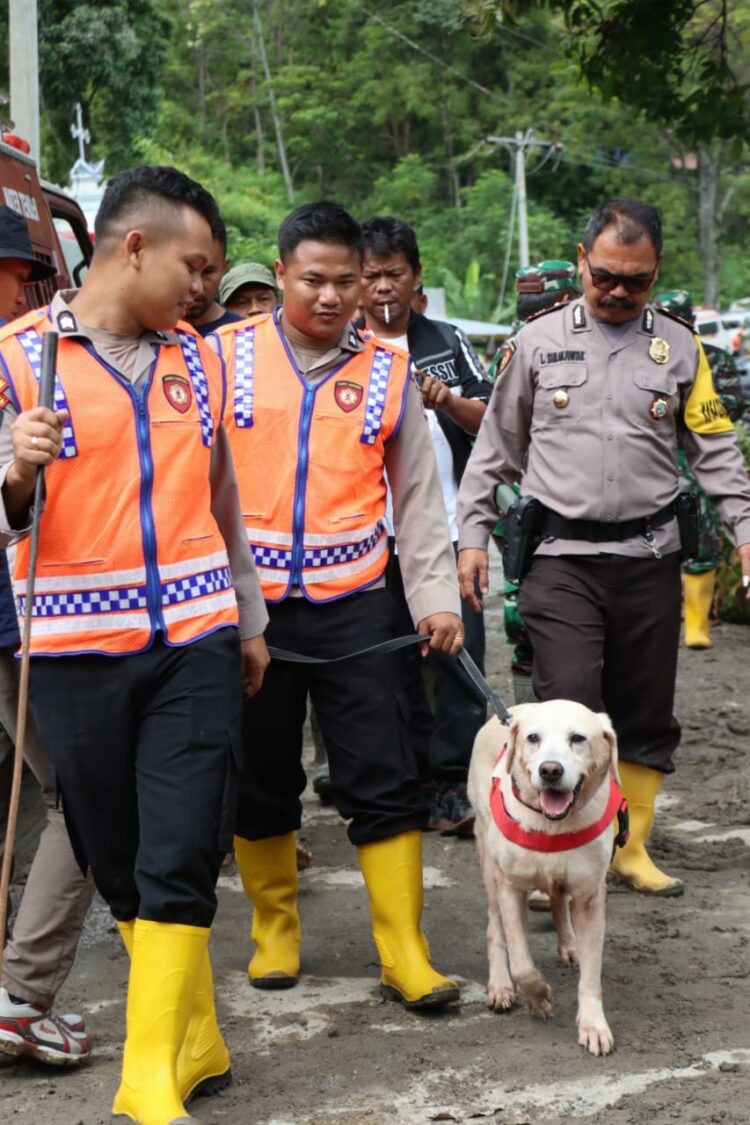 TURUNKAN K9: Polda Sumut turunkan K9 untuk mencari 12 warga yang hilang akibat bencana alam tanah longsor yang terjadi di Dusun III, Desa Simangulampe, Kecamatan Bakti Raja, Kabupaten Humbang Hasundutan (Humbahas), Minggu (3/12/2023). (Foto Dok/ Polda Sumut)