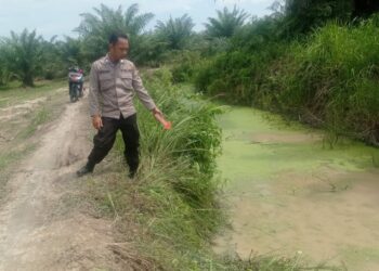 TUNJUKKAN : Personel Unit Identifikasi Satreskrim Polres Sergai menunjukkan parit lokasi penemuan mayat Ngatimun (65) warga Dusun V Sei Mulyo, Desa Seibamban, Kecamatan Seibamban, Sergai, yang ditemukan tewas, Selasa (5/12/2023). (Foto Dok/Humas Polres Sergai)
