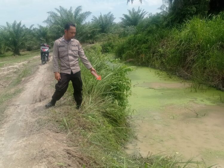 TUNJUKKAN : Personel Unit Identifikasi Satreskrim Polres Sergai menunjukkan parit lokasi penemuan mayat Ngatimun (65) warga Dusun V Sei Mulyo, Desa Seibamban, Kecamatan Seibamban, Sergai, yang ditemukan tewas, Selasa (5/12/2023). (Foto Dok/Humas Polres Sergai)