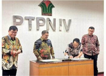 Sudarma Bhakti Lessan diangkat menjadi Region Head PTPN IV Regional 2 yang berkantor di Jl. Letjen Suprapto No. 2, Kecamatan Medan Maimun, Kota Medan, Sumatera Utara. Kantor ini dulunya dikenal sebagai Kantor Direksi PTPN IV.