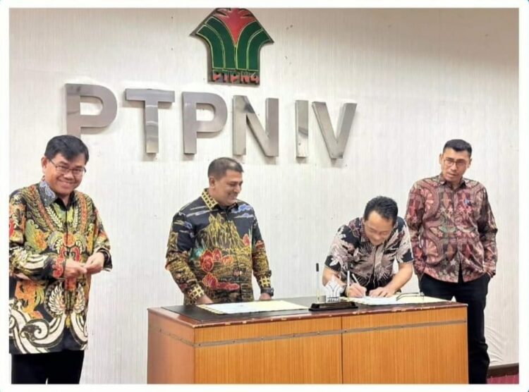 Sudarma Bhakti Lessan diangkat menjadi Region Head PTPN IV Regional 2 yang berkantor di Jl. Letjen Suprapto No. 2, Kecamatan Medan Maimun, Kota Medan, Sumatera Utara. Kantor ini dulunya dikenal sebagai Kantor Direksi PTPN IV.