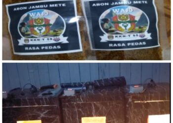 Abon Jambu Mete