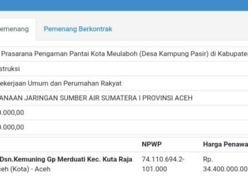 Pokja Pemilihan Balai Pelaksana Pemilihan Jasa Konstruksi BP2JK Kementerian PUPR tentang penetapan PT. FATA PERDANA MANDIRI sebagai pemenang tender paket Pembangunan Prasarana Pengaman Pantai Kota Meulaboh yang bersumber dari APBN 2024 Nilai Penawaran RP.34.394.783.000,-