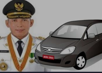 Mantan Bupati Ogan Komering Ilir (OKI), Iskandar