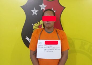 SB alias Samsul (27) warga Dusun Kampung Durian Gg.Macan, Desa Bandar Lama, Kecamatan Kualuh Selatan, Kabupaten Labuhabatu Utara diamankan oleh personel Polsek Kualuh Hulu, di Dusun 2B Desa Damuli Kebun, Kecamatan Kualuh Selatan, Kabupaten Labuhanbatu Utara.