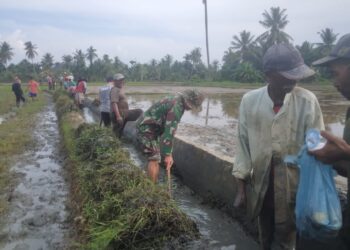 Babinsa Koramil 07/Mrm Kodim 0103/Aceh Utara Serda Rahmat Syahran bersama warga membersihkan saluran irigasi pengairan menuju arah kesawah di Desa Pulo Bluek, Kecamatan Meurah Mulia, Kabupaten Aceh Utara, Sabtu (06/01/2024).