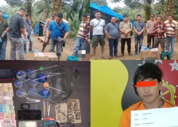 Pelaku berisial ER alias Elvan (21) warga Dusun Bangun Rejo Desa Pulo Dogom Kec. Kualuh Hulu. Kab. Labuhanbatu Utara (Labura), Sumatera Utara, tak berkutik saat disergap di Pasar 7 Desa Londut Kec.Kualuh Hulu Sabtu Pagi (06/01/2024) sekira pukul 8.30.Wib. Tepatnya diperkebunan Sawit milik warga.