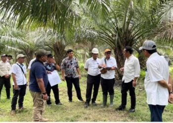 Region Head PTPN IV Regional 2 Sudarma Bhakti Lessan mengunjungi Kebun Adolina di Kabupaten Serdang Bedagai, Sumatera Utara, Kamis (11/1/2024).