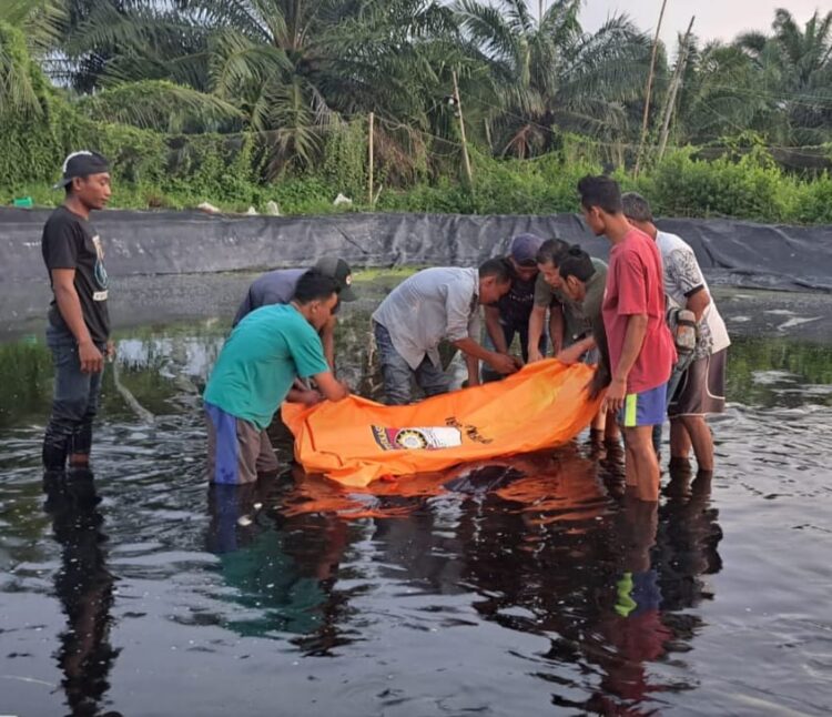 EVAKUASI : Petugas kepolisian dibantu warga saat mengevakuasi mayat dari kolam tambak udang, Selasa (16/1/2024). (Foto Dok/Humas Polres Sergai)