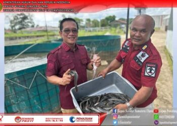 Kepala Lapas Kelas IIa Pematang Siantar, M. PITHRA JAYA SARAGIH, tampak turun langsung ke lokasi budi daya lele didampingi kasi Giatja, H. Hutauruk.