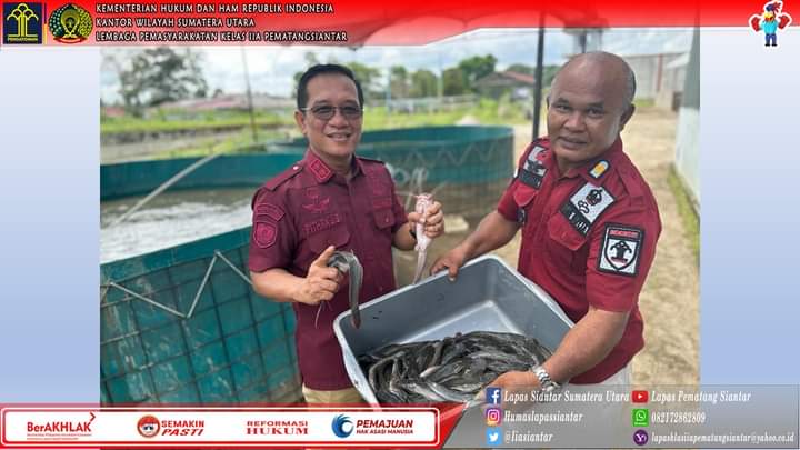 Kepala Lapas Kelas IIa Pematang Siantar, M. PITHRA JAYA SARAGIH, tampak turun langsung ke lokasi budi daya lele didampingi kasi Giatja, H. Hutauruk.