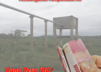 Isu dugaan penyelewengan Dana Desa (DD) tahun 2020 yang terjadi di Gampong Seuneubok Aceh, pada proyek pembangunan Pompanisasi Air yang diduga mangkrak sudah empat tahun.