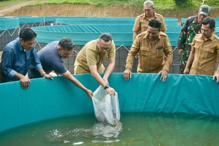 Pj Wali Kota Sabang Reza Fahlevi bersama Gabungan Kelompok Tani (Gapoktan), tebarkan 24 ribu bibit lele di Gampong Paya Seunara. Budidaya ikan lele yang dikombinasikan dengan metode bioflok ini, merupakan program dari Gampong Paya Seunara sebagai upaya meningkatkan ketahanan pangan, dengan menggunakan dana desa.