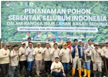 Acara penanaman pohon serentak seluruh Indonesia dalam rangka peringatan Hari Lahan Basah Sedunia di Areal Tanah Gambut Hutan Produksi Terbatas (HPT) Desa Cinta Jaya Kecamatan Pedamaran, Rabu (7/2/24)