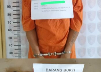 Pelaku ERWIN ditangkap Unit Reskrim Polsek Bilah Hilir saat menjual Narkotika jenis sabu, Rabu (07/02/2024).