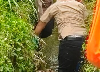 Penemuan bayi diperkirakan berumur 2 bulan, di desa Kabu Baroh kec. Seunagan Timur