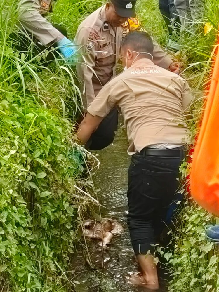 Penemuan bayi diperkirakan berumur 2 bulan, di desa Kabu Baroh kec. Seunagan Timur