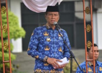 Pj Bupati Ogan Komering Ilir, Asmar Wijaya