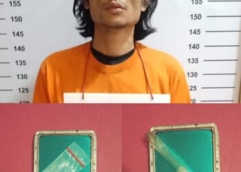 Pelaku seorang laki-laki berinisial SR umur 28 tahun warga Dsn Kandang Lembung Jalan Lurus Kel. Pulo Padang Kec. Rantau Utara Kab. Labuhanbatu.