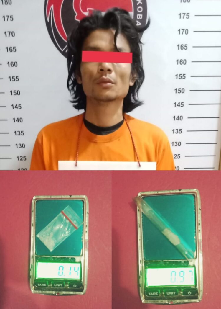Pelaku seorang laki-laki berinisial SR umur 28 tahun warga Dsn Kandang Lembung Jalan Lurus Kel. Pulo Padang Kec. Rantau Utara Kab. Labuhanbatu.