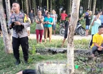 Penemuan jasad seorang wanita tua inisial SZ alias ina titi (55) warga dusun VIII, desa sisarahili, kecamatan bawalato, kabupaten nias, yang merupakan korban pembunuhan di lala'alio desa sisarahili, pada minggu 25/02/2024.