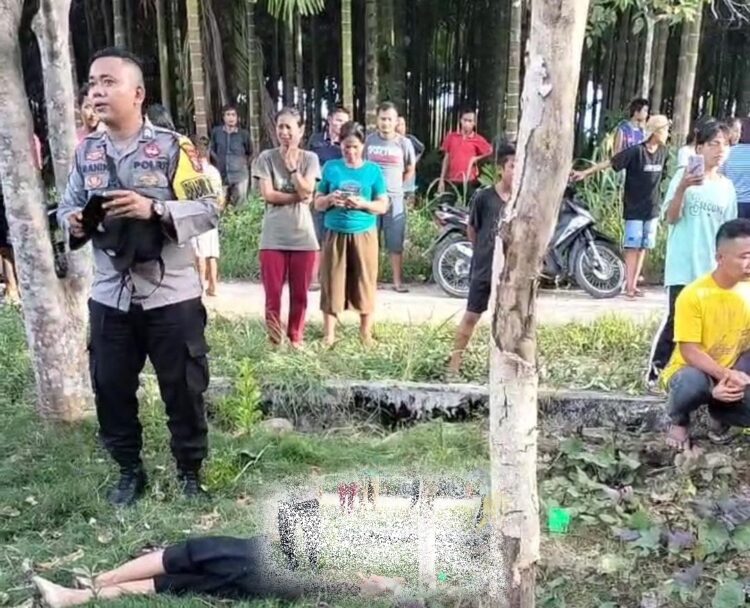 Penemuan jasad seorang wanita tua inisial SZ alias ina titi (55) warga dusun VIII, desa sisarahili, kecamatan bawalato, kabupaten nias, yang merupakan korban pembunuhan di lala'alio desa sisarahili, pada minggu 25/02/2024.