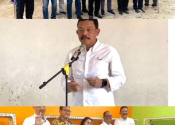 PT Suri Tani Pemuka (STP) anak perusahaan JAPFA membangun dan meresmikan perpustakaan di Sekolah Dasar Negeri (SDN) 096779 dan merenovasi perpustakaan SDN 091288 Janggir Leto, Kecamatan Panei, Kabupaten Simalungun. Kamis (29/02/2024).