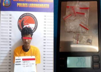 Pelaku seorang laki-laki berinisial TAP 28 tahun warga Desa Sei Pelancang Kec. Panai Tengah Kab. Labuhanbatu.