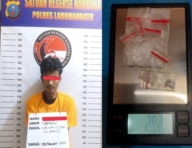 Pelaku seorang laki-laki berinisial TAP 28 tahun warga Desa Sei Pelancang Kec. Panai Tengah Kab. Labuhanbatu.