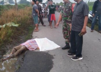DIBUNUH: Seorang wanita penjual bumbu, Sanda Kumari ditemukan tewas dibunuh di pinggir jalan Desa Namorube Julu, Kecamatan Kutalimbaru, Deliserdang, Senin (11/3/2024).(Foto Dok/Warga)