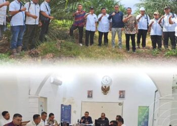 Direktur Operasional PTPN IV Rizal H. Damanik mengunjungi Kebun Air Batu di Kabupaten Asahan, Sumatera Utara, Rabu (20/3/2024). Kedatangan Direktur didampingi SEVP Operation II PTPN IV Regional II Dedy Gurning serta Group Manager Unit Group II Agustian Harianto.
