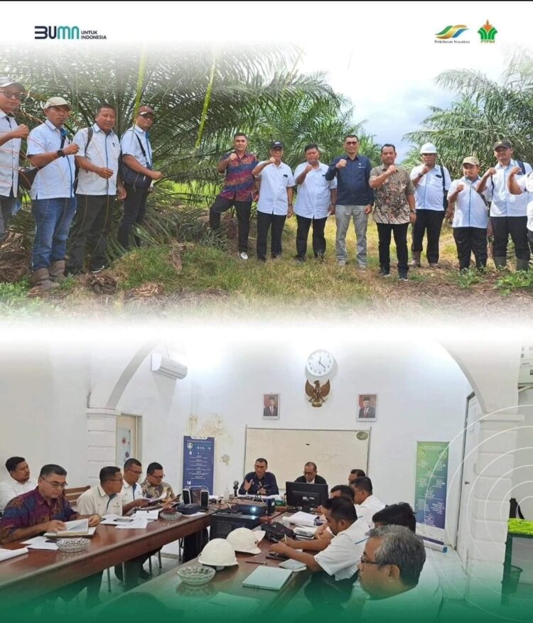 Direktur Operasional PTPN IV Rizal H. Damanik mengunjungi Kebun Air Batu di Kabupaten Asahan, Sumatera Utara, Rabu (20/3/2024). Kedatangan Direktur didampingi SEVP Operation II PTPN IV Regional II Dedy Gurning serta Group Manager Unit Group II Agustian Harianto.