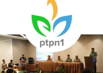 RAPAT: Kasubbag Disposal Eks Hak Guna Usaha (HGU), Rahman rapat terkait sosialisasi Penyelesaian eks tanah Hak Guna Usaha (HGU), Selasa (2/4/2023). (Foto Dok/ PTPN 1)