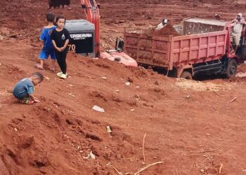 Penggalian/Pengurukan lahan basah yang dilakukan oknum yang tidak memiliki Izin resmi terjadi di Kp. Rawaragas Desa Bojong Kecamatan Klapanunggal Kabupaten Bogor. Hal ini dilakukan oleh PT. JKS hingga saat ini, dimana Belum mengantongi izin resmi. Sabtu (20/04/24). (Foto : Dok/RH-Mitrapolri.com)