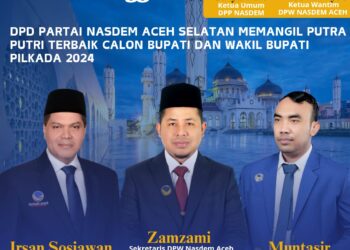 Dewan Pimpinan Daerah (DPD) Partai Nasdem Kabupaten Aceh Selatan