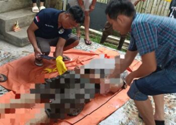Warga Kelurahan Malalayang Satu Barat Lingkungan IX dikejutkan dengan penemuan sesosok mayat pria terapung di sebuah sungai kecil di sebelah rumah keluarga Kussoy-Manampiring. Korban telah diidentifikasi sebagai Josep Megi Lengkong, berusia 51 tahun, warga setempat, Senin (6/5/2024).