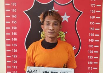 DITANGKAP: Pelaku pencurian, Indra Aginta Ginting (42) warga Dusun VI, Patumbak ditangkap Jatanras Polda Sumut. (Foto Dok/ Polda Sumut)