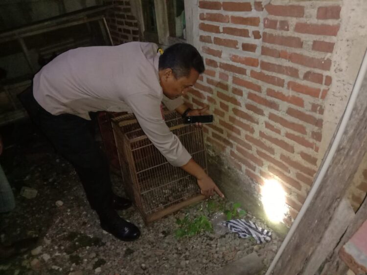 Bayi berjenis kelamin laki-laki ditemukan tergeletak di belakang rumah warga Dusun Sirongge, Kelurahan Kembaran Kulon, Kecamatan/Kabupaten Purbalingga, Selasa (14/5/2024) malam. Kondisi bayi saat ditemukan masih dalam keadaan hidup dibungkus tas plastik.