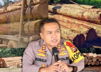 Beberapa bukti dokumentasi adanya aktifitas illegal logging di Desa Siabu, Kecamatan Salo, Kabupaten Kampar wilayah hukum Polres Kampar dan Foto Kapolres Kampar AKBP Ronald Sumaja, S.I.K (tengah) (Foto : Dok/Mitrapolri.com)