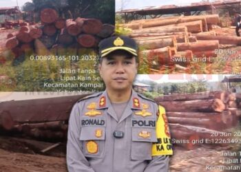 Foto dokumentasi aktivitas illegal logging di Desa Lipat Kain dan Desa Sungai Geringging, Kecamatan Kampar Kiri, Kabupaten Kampar, Riau wilayah hukum Polres Kampar dan Foto Kapolres Kampar AKBP Ronald Sumaja (tengah) (Foto : Dok/Mitrapolri.com)