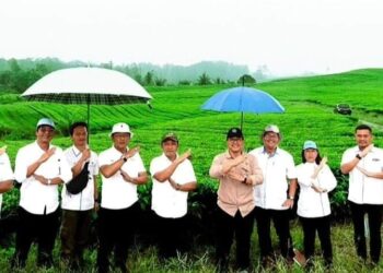 Region Head PTPN IV Regional II Darma Lessan meninjau areal dan hamparan Kebun Teh dengan ketinggian 1200 Mdpl yang terletak di Kabupaten Simalungun, Senin (10/6/2024). Kedatangan Region Head didampingi oleh SEVP Operation I Budi Susilo, Kabag Sekretariat & Hukum Muhammad Ridho Nasution, dan GM Unit Group III Raja Suandi Dayan Purba