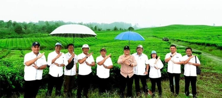 Region Head PTPN IV Regional II Darma Lessan meninjau areal dan hamparan Kebun Teh dengan ketinggian 1200 Mdpl yang terletak di Kabupaten Simalungun, Senin (10/6/2024). Kedatangan Region Head didampingi oleh SEVP Operation I Budi Susilo, Kabag Sekretariat & Hukum Muhammad Ridho Nasution, dan GM Unit Group III Raja Suandi Dayan Purba