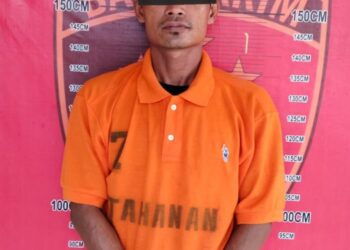 Tim Opsnal Unit Reskrim Polsek Perbaungan Polres Serdangbedagai (Sergai) membekuk seorang pria berinisial M (42) warga Dusun Kueni Desa Melati II, Kecamatan Perbaungan, Sergai, terduga pelaku pencurian.