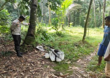 Seorang penderes meninggal dunia akibat jatuh dari pohon kelapa saat menyadap nira di Desa Candinata, Kecamatan Kutasari, Kabupaten Purbalingga, Minggu (16/6/2024) pagi. Penderes tersebut jatuh dari pohon kelapa setinggi kurang lebih 15 meter.