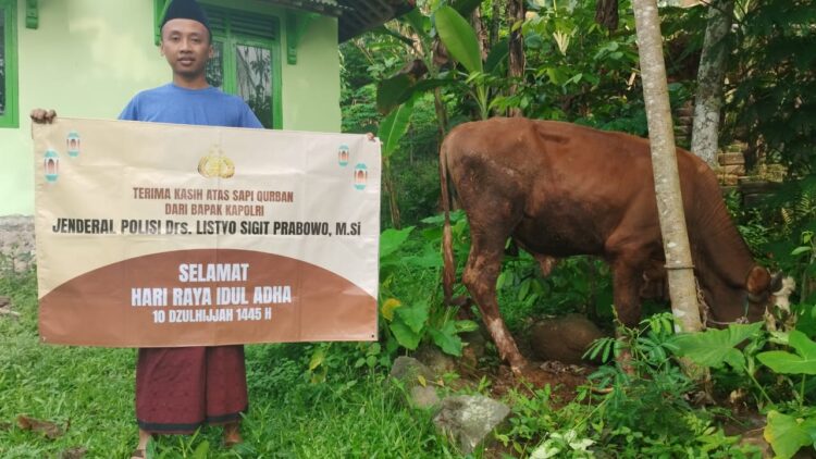 Hewan kurban bantuan dari Kapolri diberikan kepada warga Desa Gunungwuled bernama Zulfikar Abdullah Iman Hakiki. Sapi bantuan dari Kapolri tiba di Desa Gunungwuled pada Sabtu (15/6/2024) pagi.
