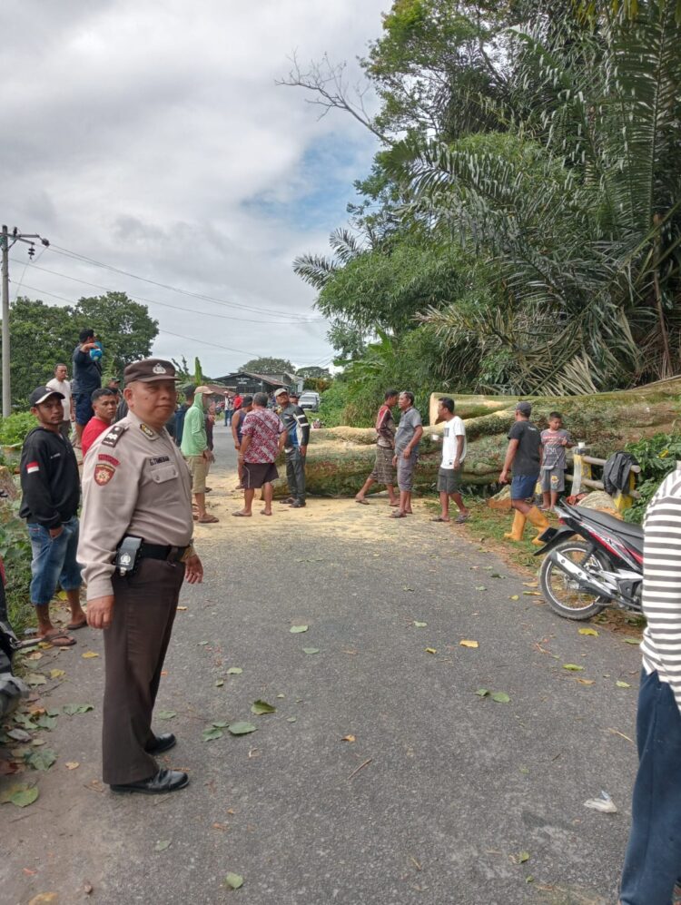 Kegiatan dimulai pada hari Minggu, 16 Juni 2024, pukul 22:00 Wib dengan pengecekan Tempat Kejadian Perkara (TKP) angin puting beliung yang terjadi sekitar Pelabuhan Fery Simanindo Desa Simanindo Kecamatan Simanindo Kabupaten Samosir.