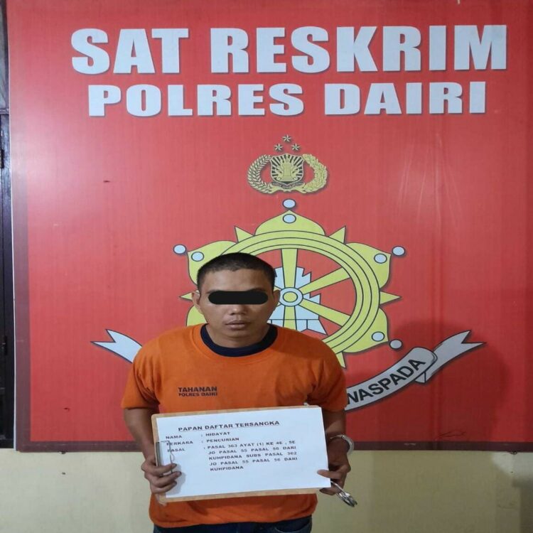 DITANGKAP: H ditangkap Polres Dairi saat mengemudikan mobil pikap curian. (Foto Dok/ Polres Dairi)