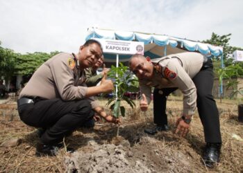 TANAM POHON : Kapolsek Tanjungberingin AKP Tobat Sihombing dan Kapolsek Perbaungan AKP S Gurusinga menanam pohon dalam rangka HUT ke-78 Bhayangkara, Kamis (27/6/2024). (Foto Dok/Humas Polres).